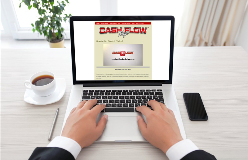 Business Cash Flow Management Software